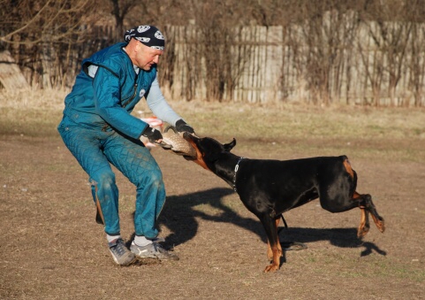 Training in Estonia 30.3 - 1.4. 2007